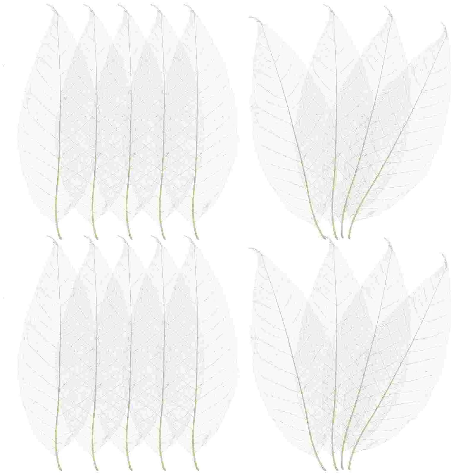 

100 Pcs Magnolia Leaf Specimen Bookmark Accessory Tree Bathroom Decorations Dried Leaves Natural DIY Materials