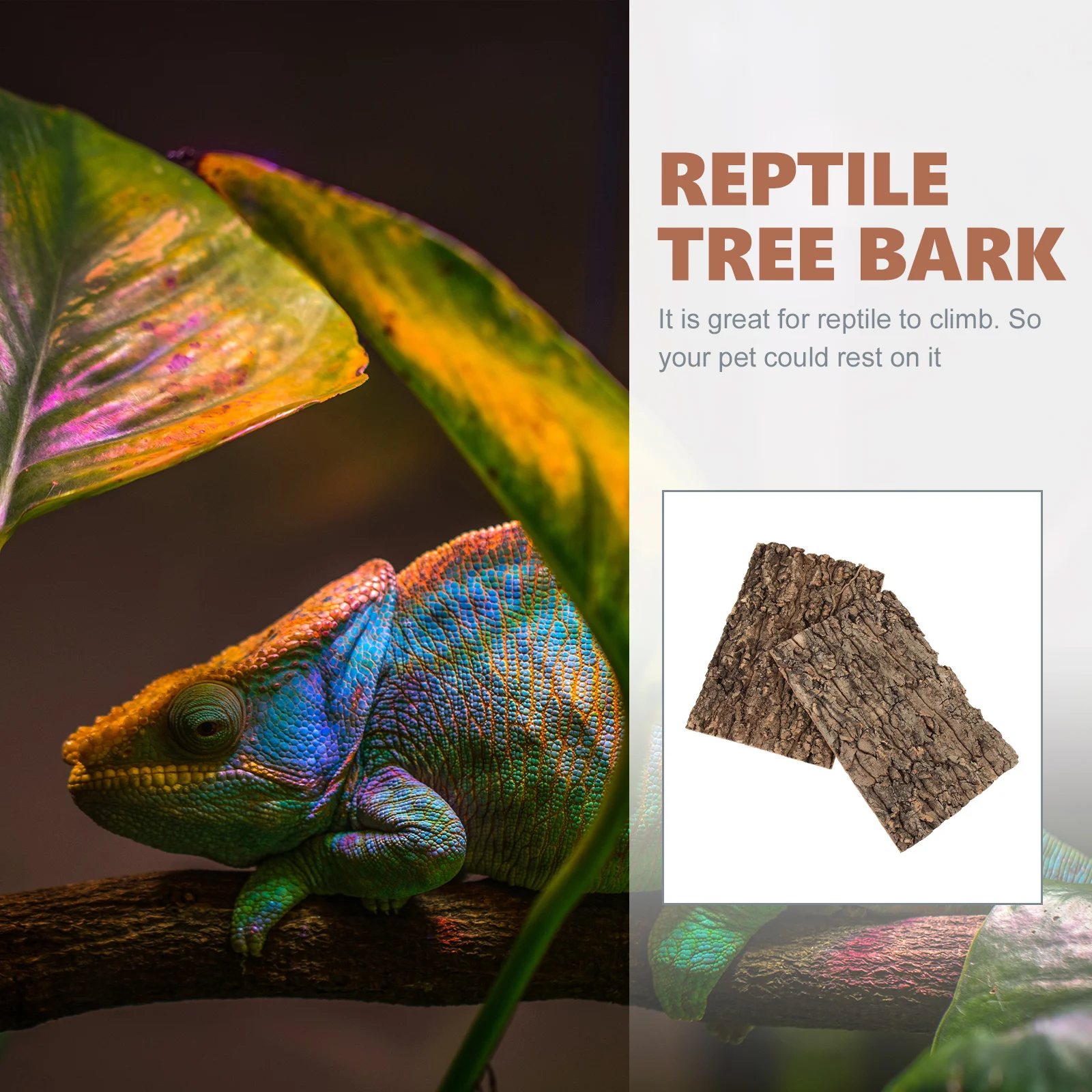 2 PCS Champaign Tree Bark Crawler Turtle Platform Tree Bark Terrarium Decor Cave Hide Reptile Decorations Reptile