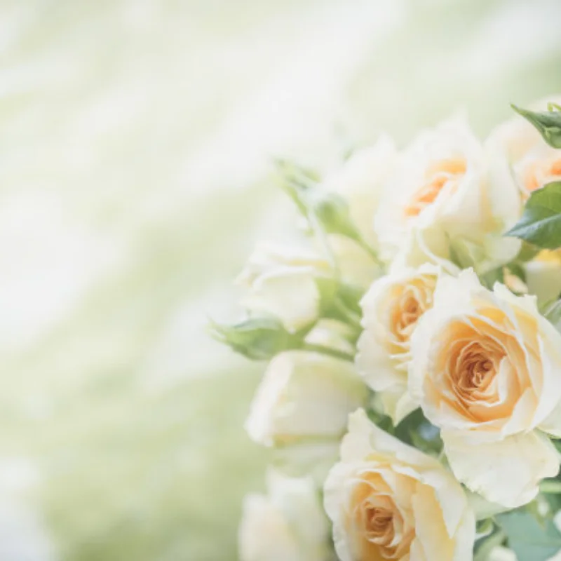 

2Pcs Steel Metal Front Rear Drive Shaft CVD Driveshaft 86246 For HPI Savage X Flux XL 1/8 RC Car Upgrade Parts