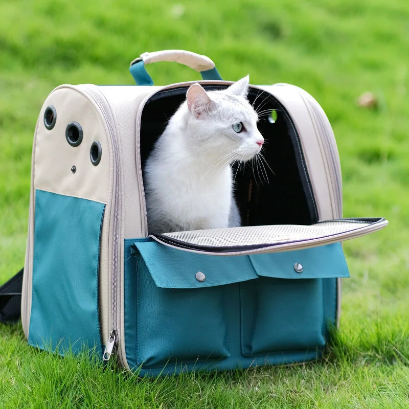 Draagtas voor huisdieren met verstelbare riem Opvouwbare kattenrugzak voor buitenreizen met grote capaciteit Ventilatie Kattendraagrugzak