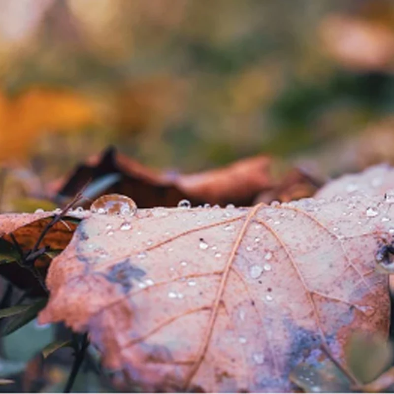 

iFlight XING2 2205 2300KV /2450KV / 3200KV 4-6S FPV Motor Unibell with 5mm Titanium Alloy Shaft for FPV Drone Part