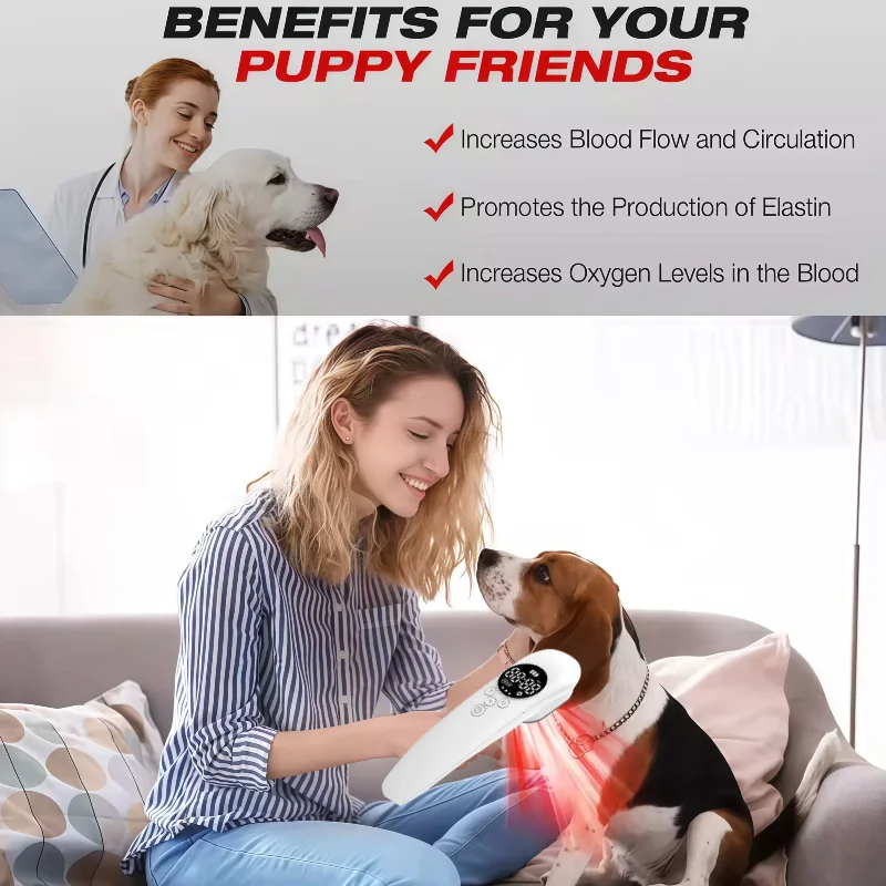 

Professional Grade HLKGO Cold Laser Treatment 650nm 808nm for Chronic Plantar Fasciitis and Arthritis