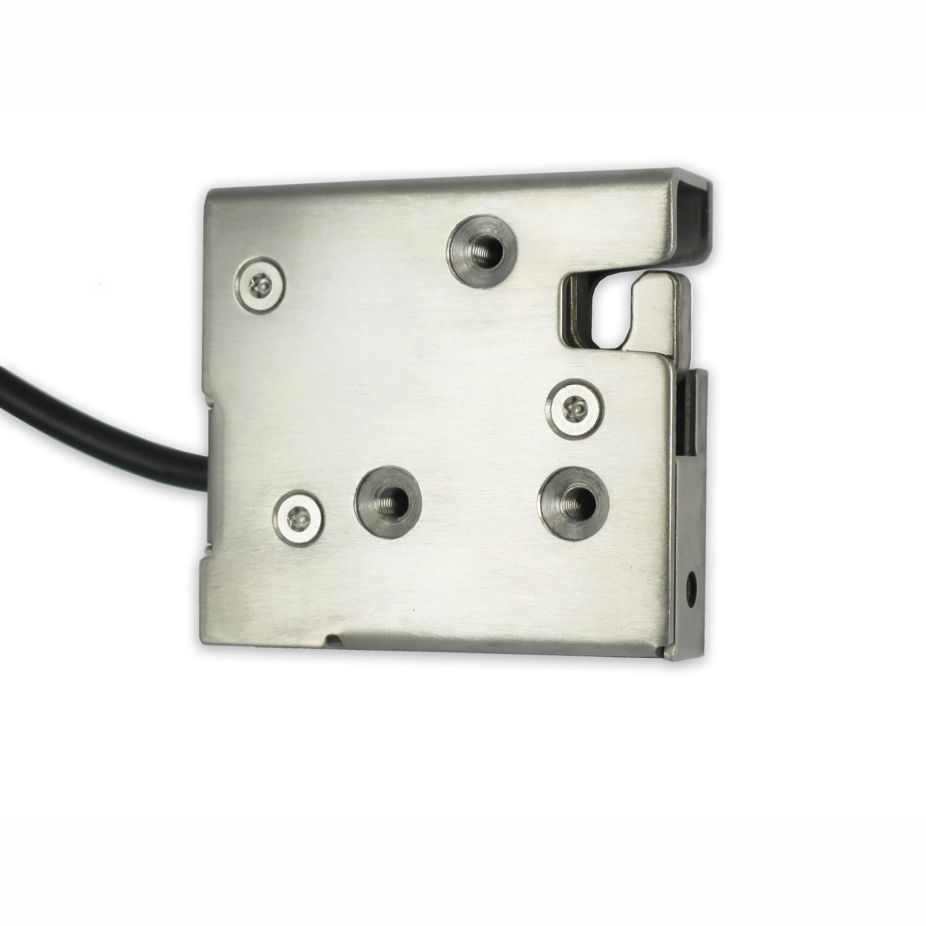 12V/24V Stainless Steel Electromechanical Lock With Gear Motor and Door Status Reporting