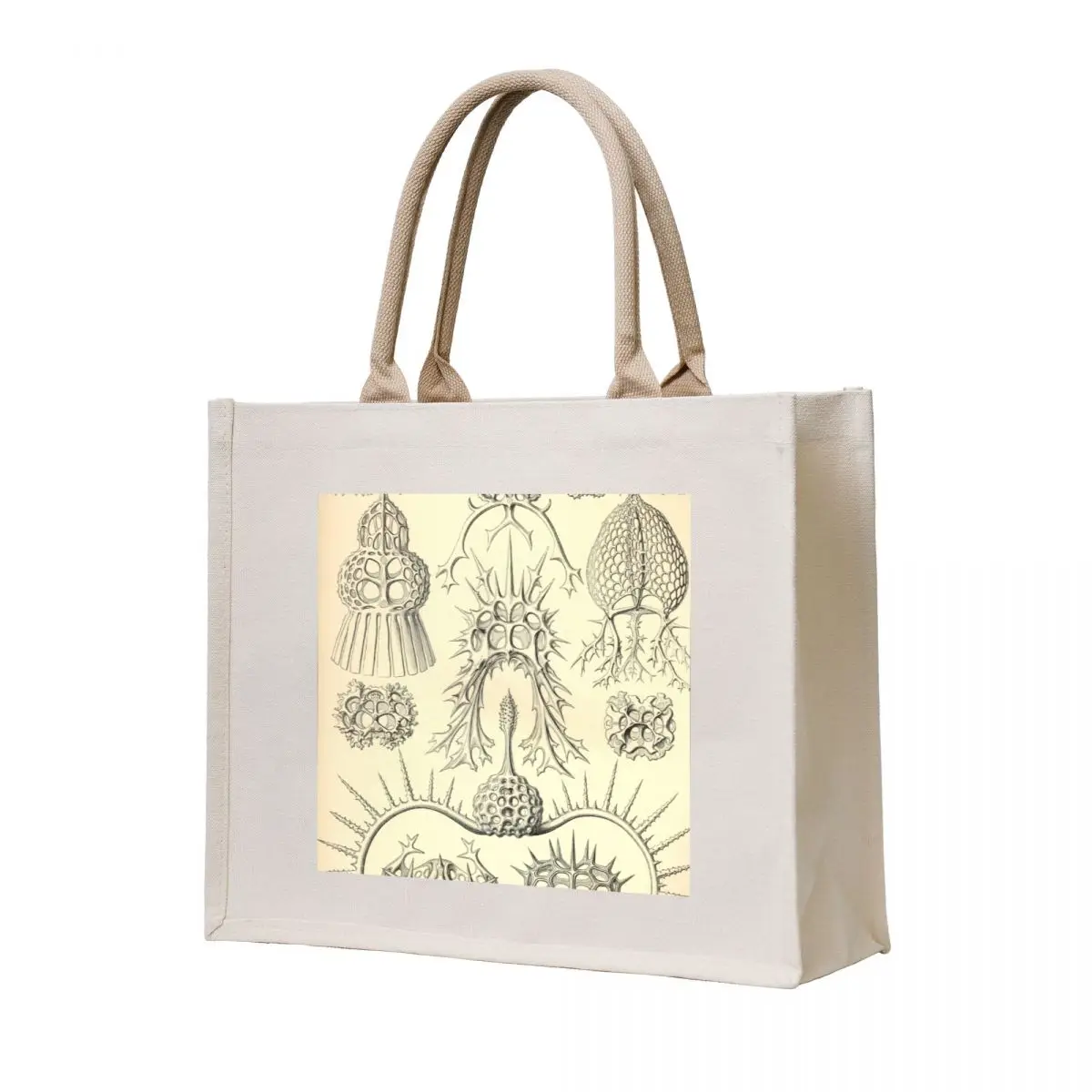 

Spyroidea - Ernst Haeckel Tote Bag reusable shopping bag Reusable bags Women's bags