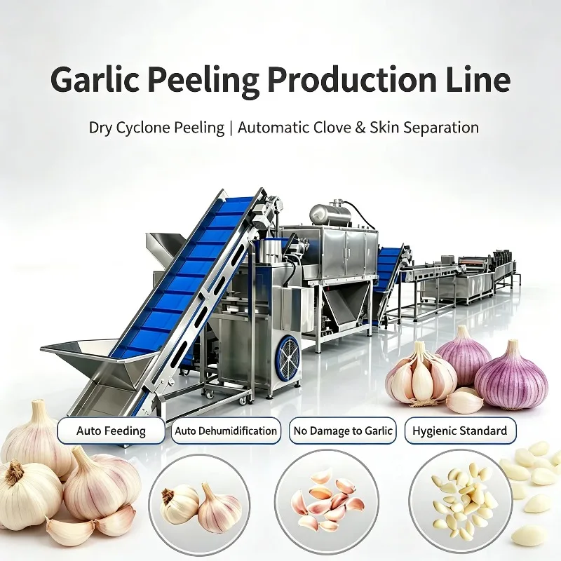 Customized Garlic Drying and Grinding Production Line Garlic Clove Sorting and Peeling Single Machine