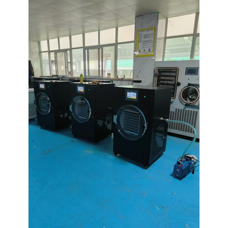 Commercial Professional Household Small For Fruits, Vegetables, And Candy Vacuum Freeze Dryer - Australia