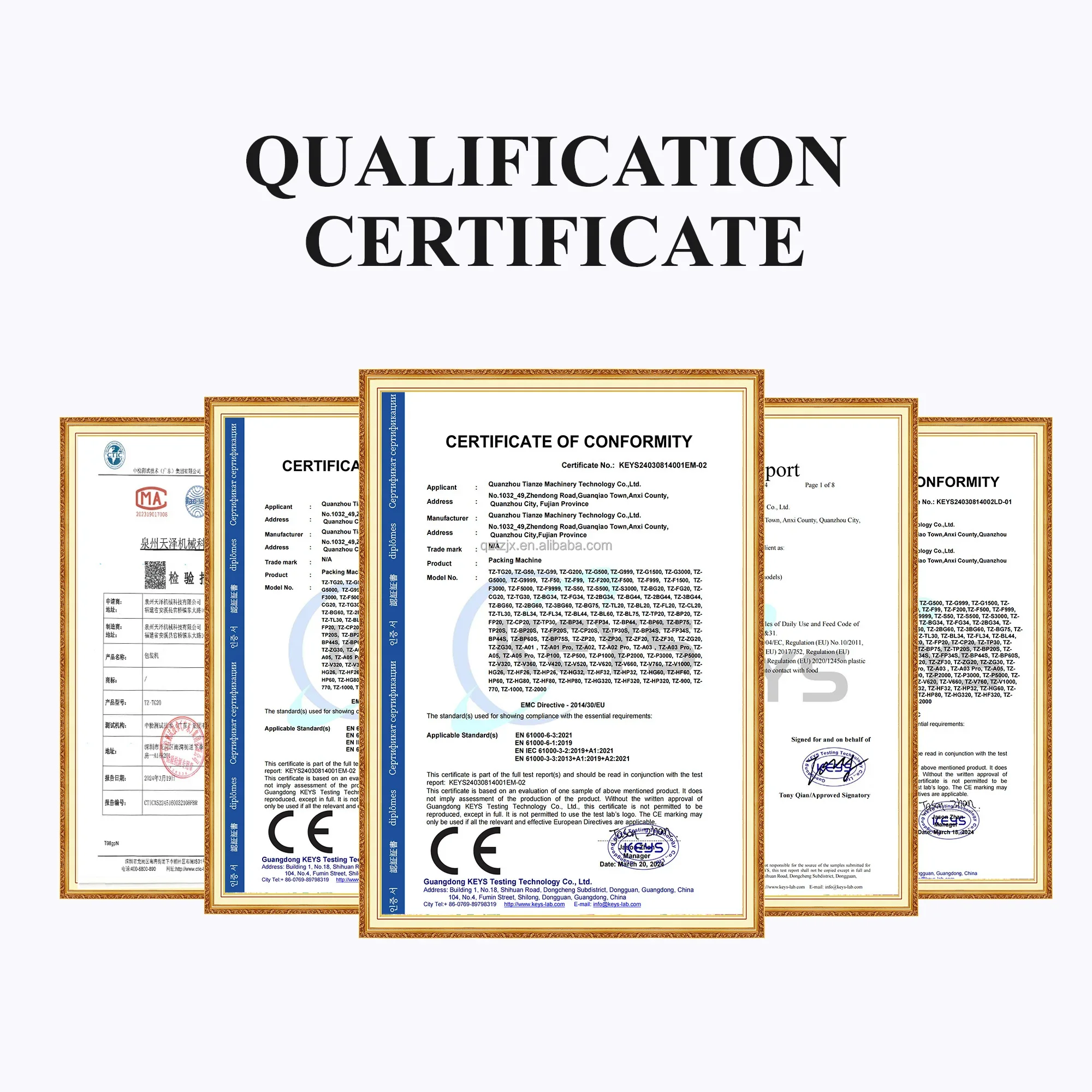 TianZe Granul Food Maize Powder Filling And Packaging Machine 500g