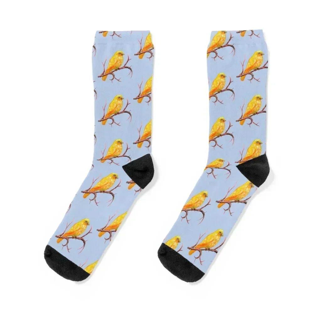

Canary Bird Socks Lots Men's Antiskid soccer heated Men Socks Women's designer shoes happy Designer Man Socks Women's