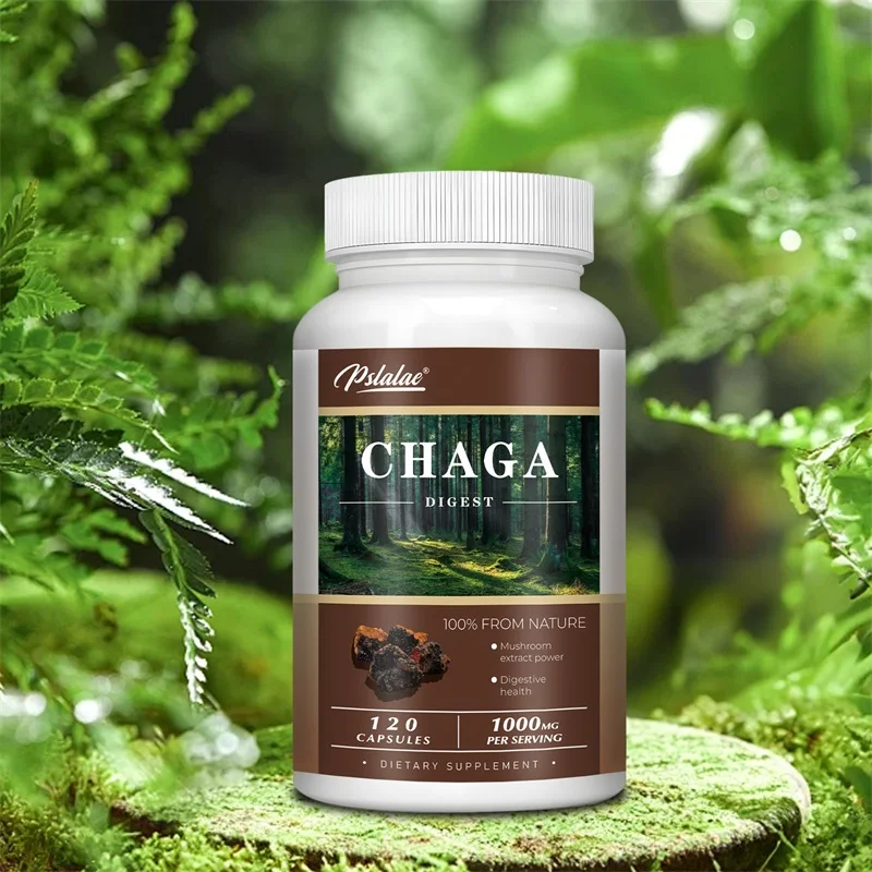 

Chaga - Antioxidant, Supports Overall Health and Vitality, Boosts Immunity