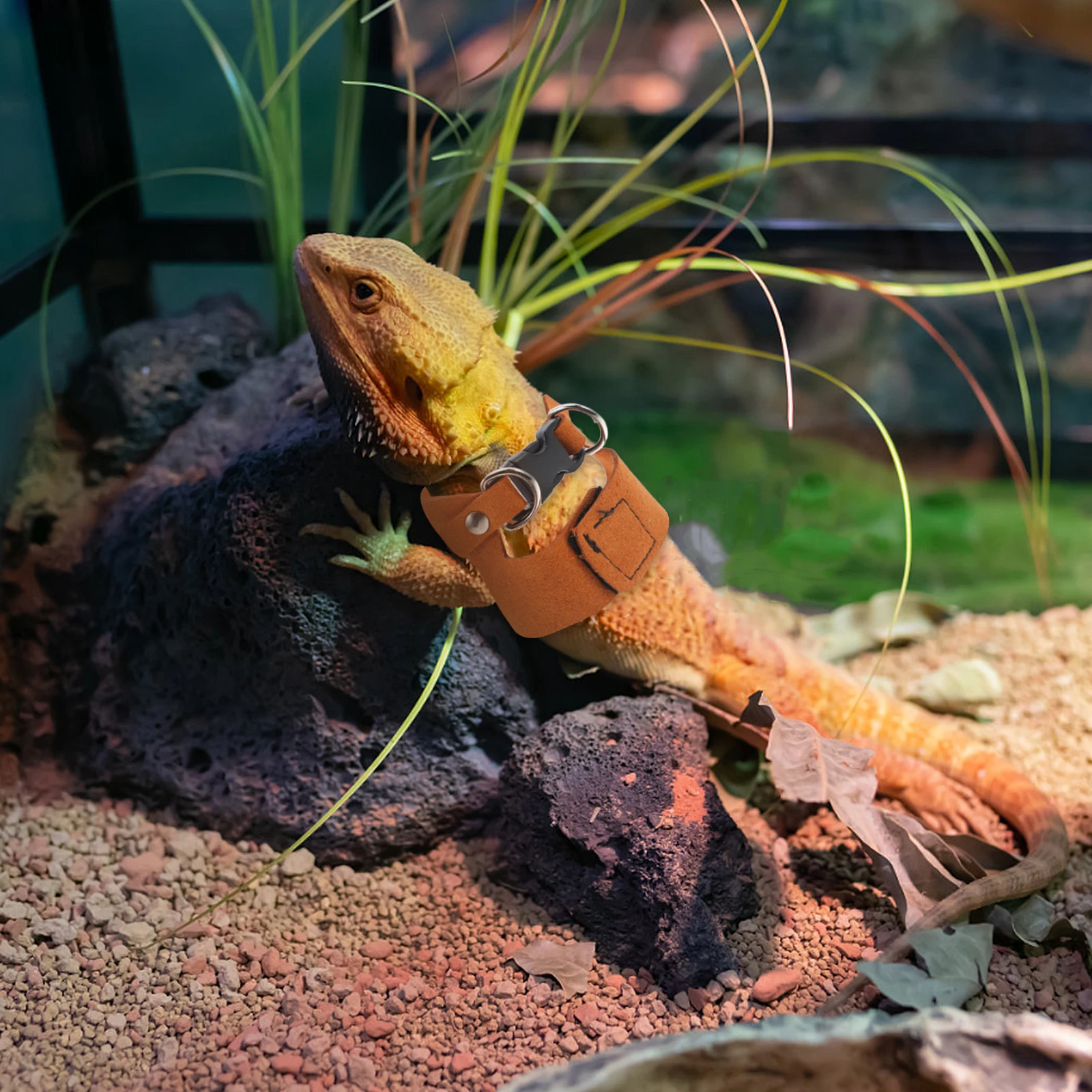 

Lizard Leash Accessories Animal Harness for Animals Bearded Dragon Polyester Adjustable Reptile