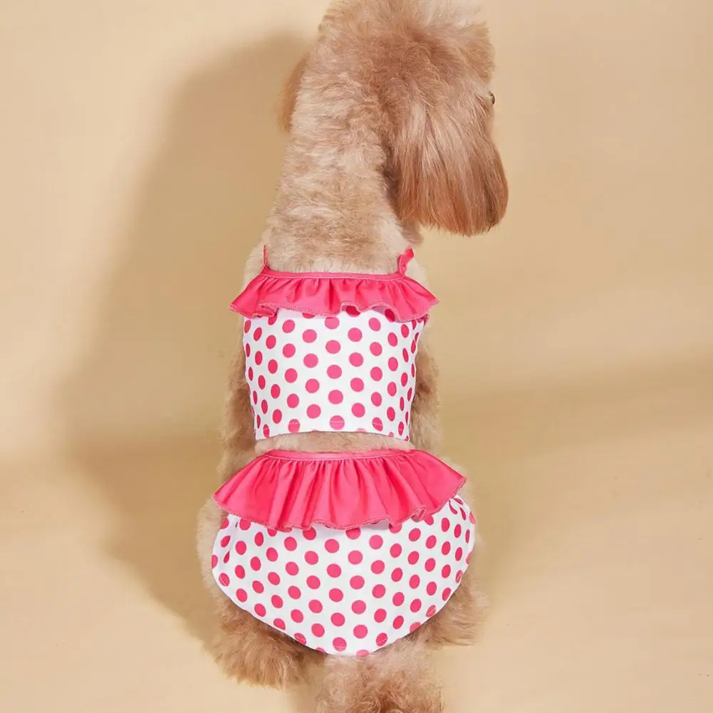 1 Set Pet Swimsuit Bright Colors Polka Dot Pattern Dog Swimwear Set Comfortable Pet Beachwear Pet Supplies