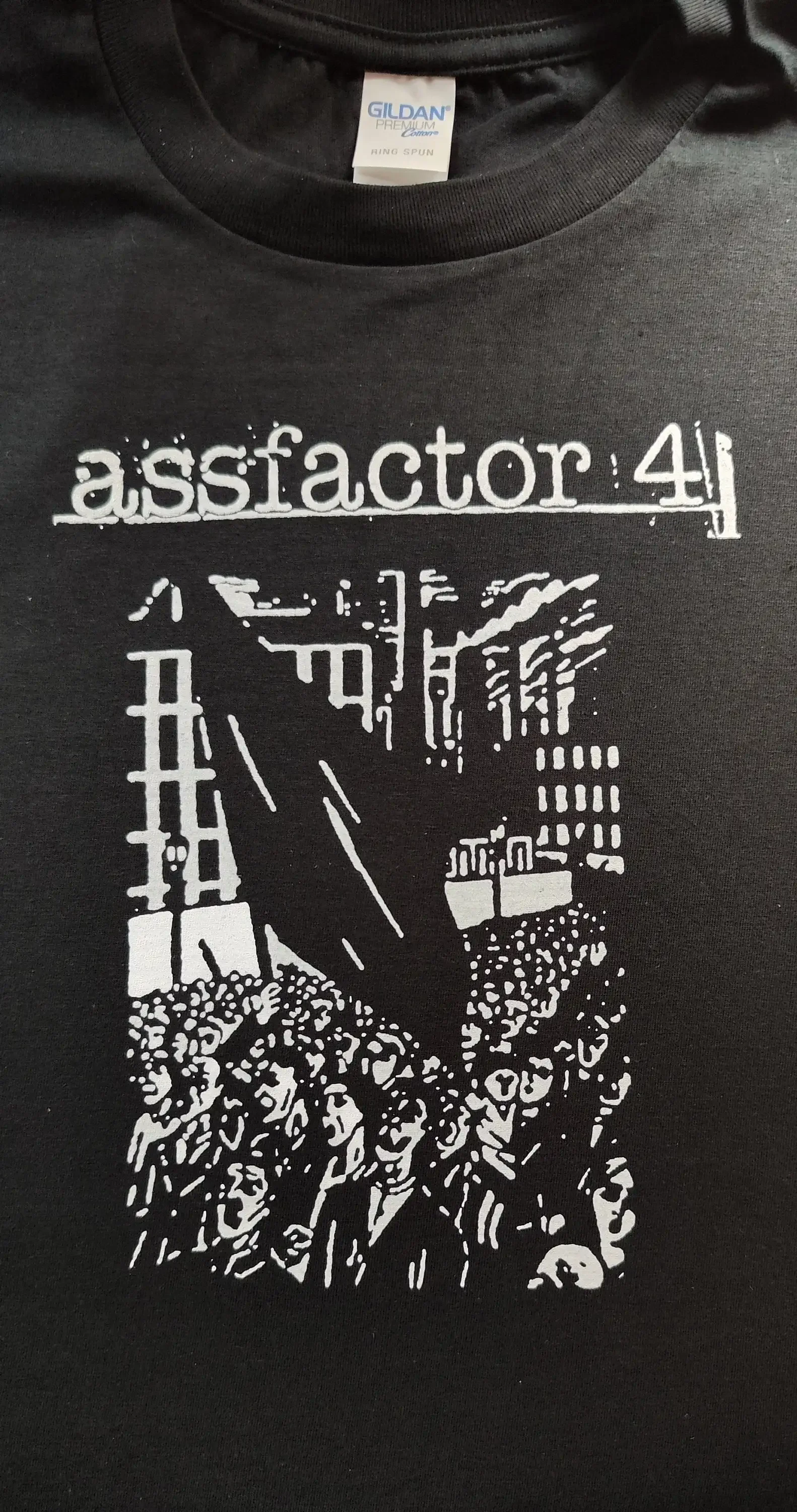 

Футболка Assfactor 4. После хардкорной группы.