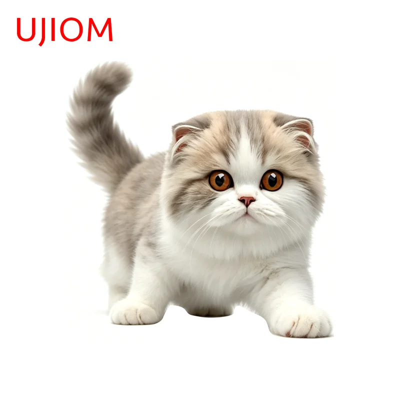 UJIOM Cat Cute Vivid Picture Wall Sticker Fashion Adorable Attractive Occlusion Scratch PVC Decal Suitable For Vinyl Material