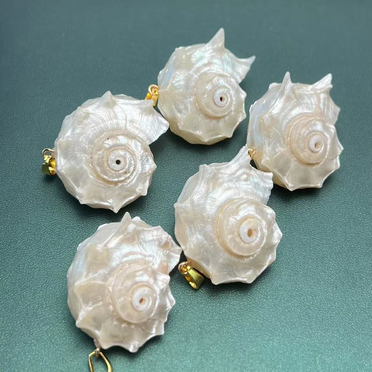 5pcs Natural White Shell Conch Shape Pendant for DIY Jewellery
