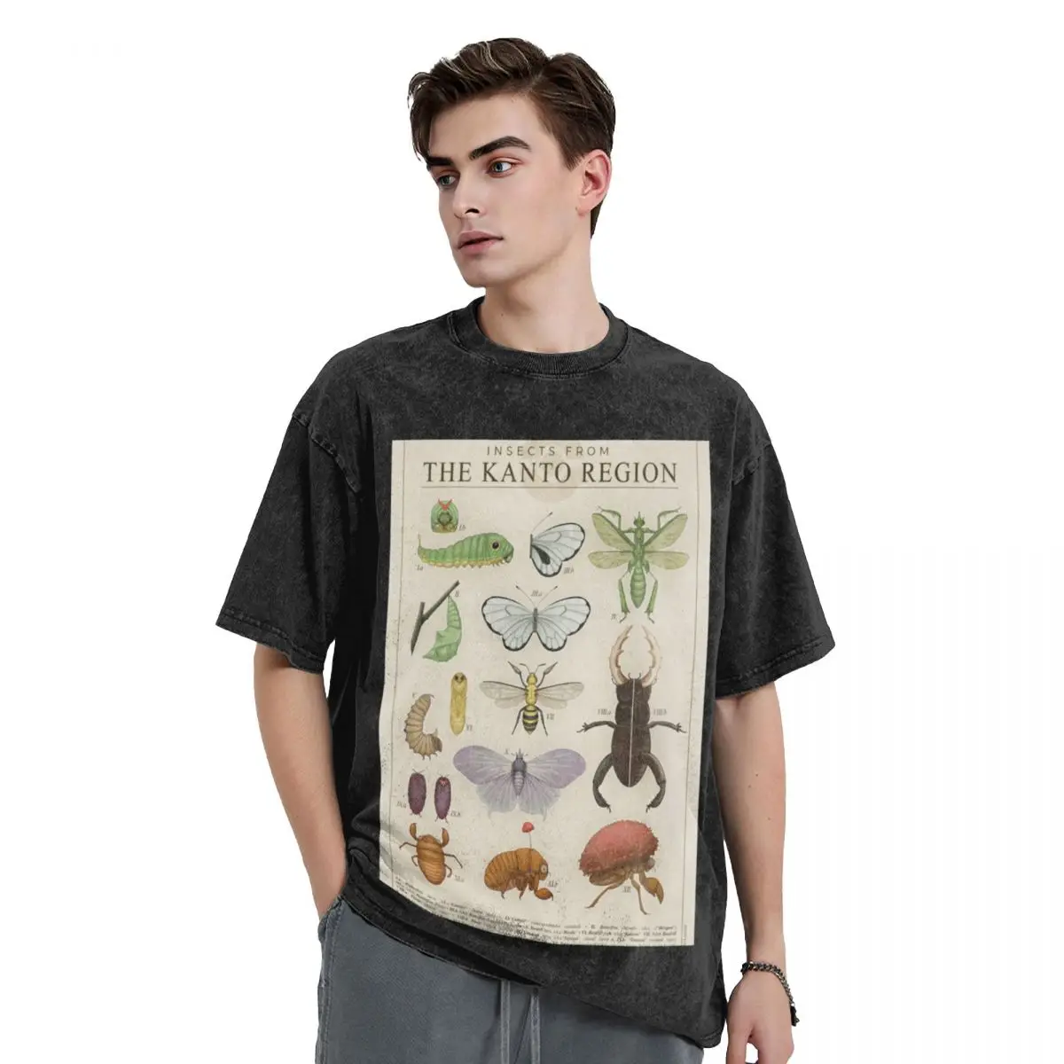 

Insects from the Kanto Region T-Shirt cute tops Aesthetic clothing black t-shirts for men