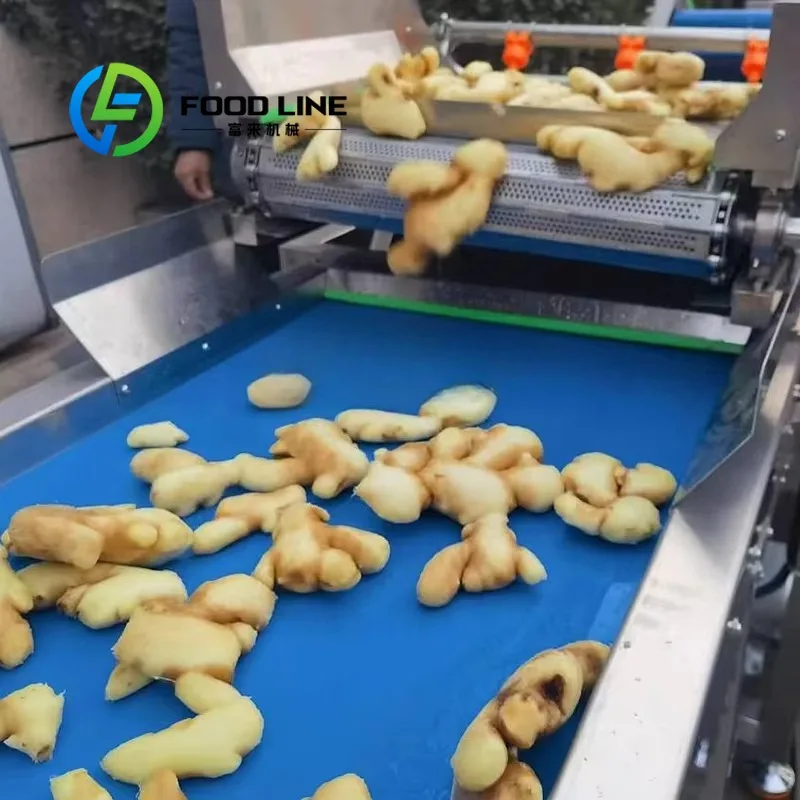 Ginger Garlic Peeler Machine Ginger Paste Making Machine Ginger Cleaning Machine For Sale