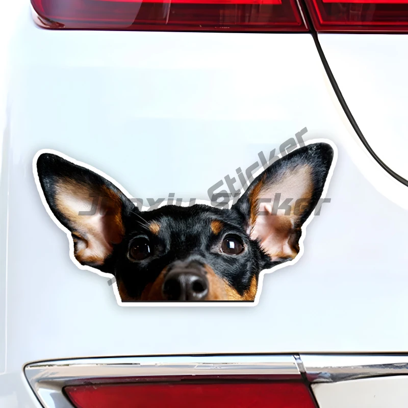 Miniature Pinscher Car Stickers Funny Creative Waterproof Vinyl Decal Motorcycle Decorative Accessories