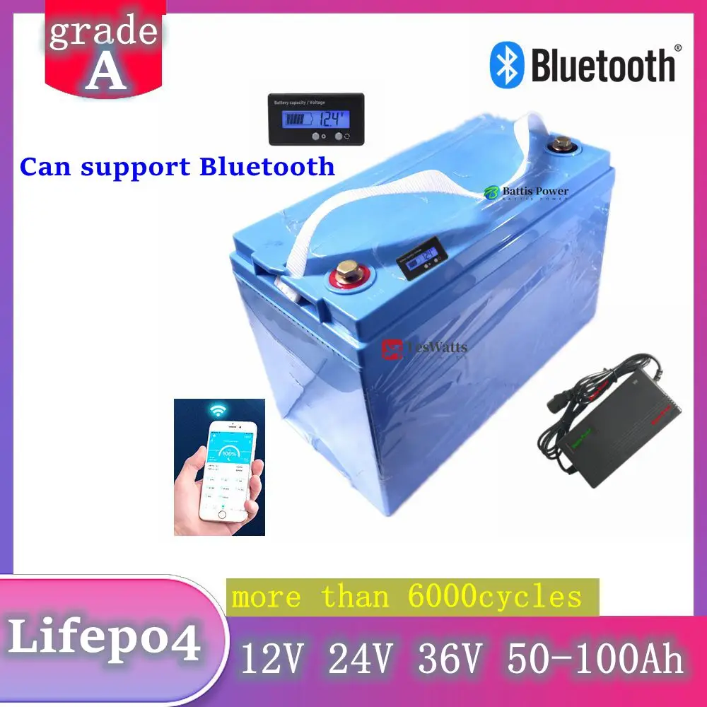 12V 100AH 120Ah 150Ah 24V 36V 40Ah 50AH 60Ah 80Ah lifepo4 lithium battery deep cycle batteries bluetooth BMS with charger