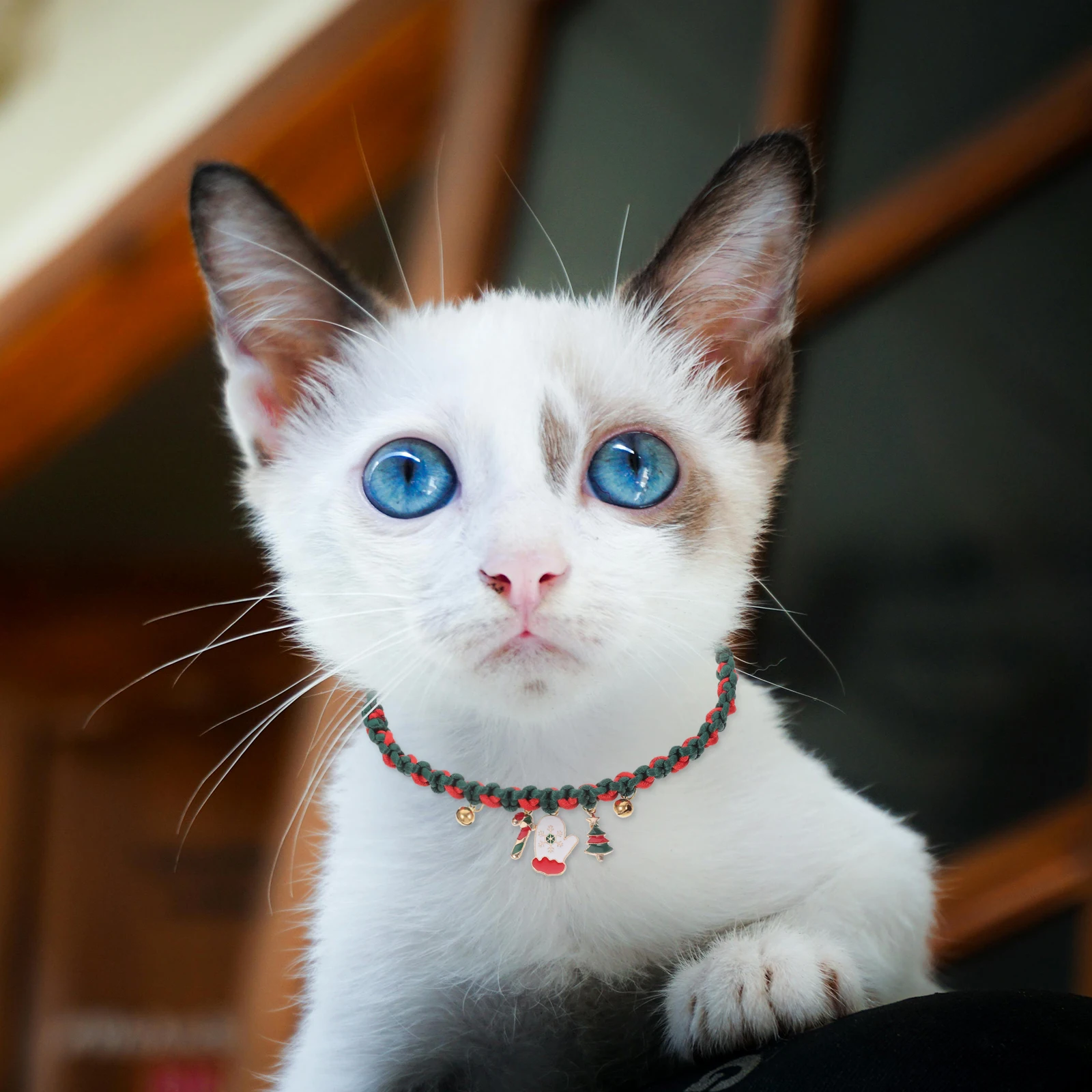 

Adjustable Christmas Cat Collar Kitten Red Green Braided Bell Breakaway Holiday Pet Collar Soft Comfortable Japanese Korean