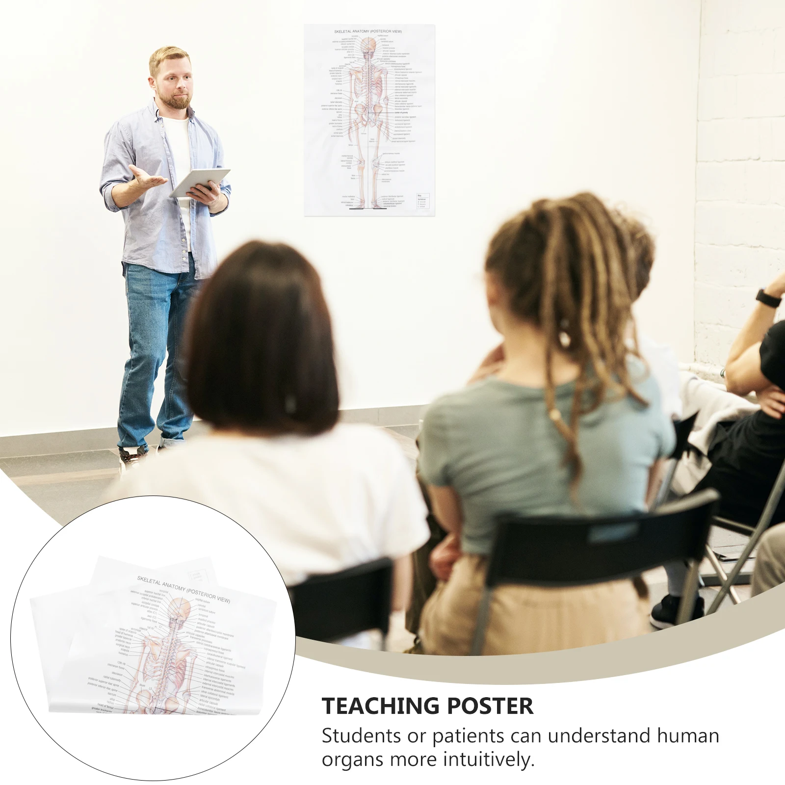 

Human Anatomy Poster Anatomical Party Kraft Paper Body Decor Silk Cloth Office Bar Wall