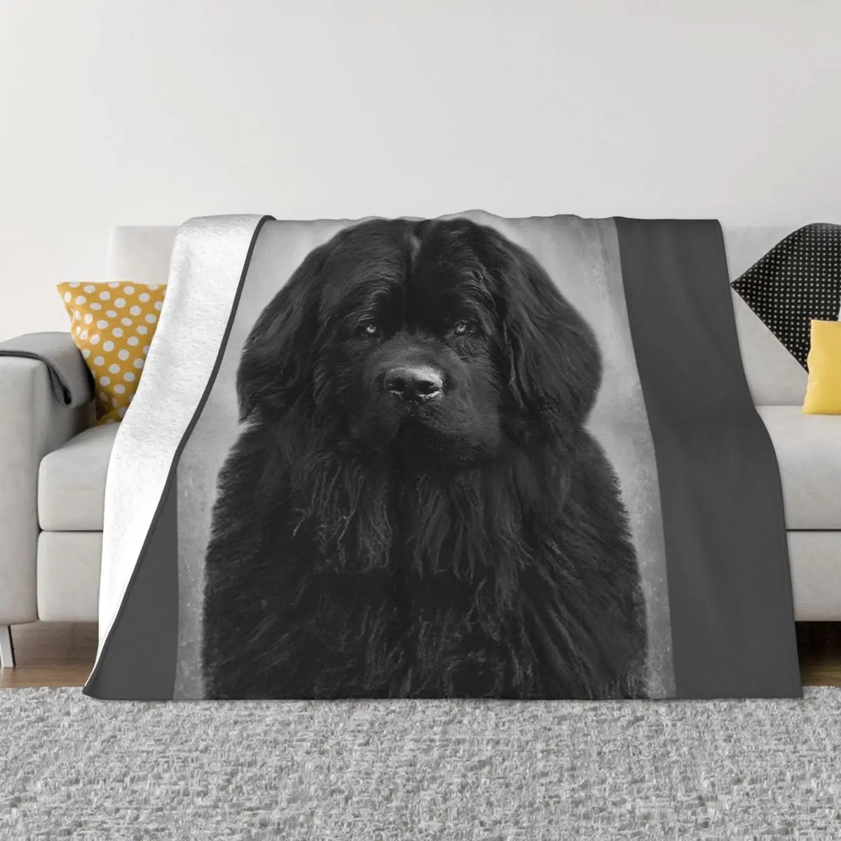 

Newfoundland dog - BW Vintage - D48 Throw Blanket Moving Blanket Blankets for babies