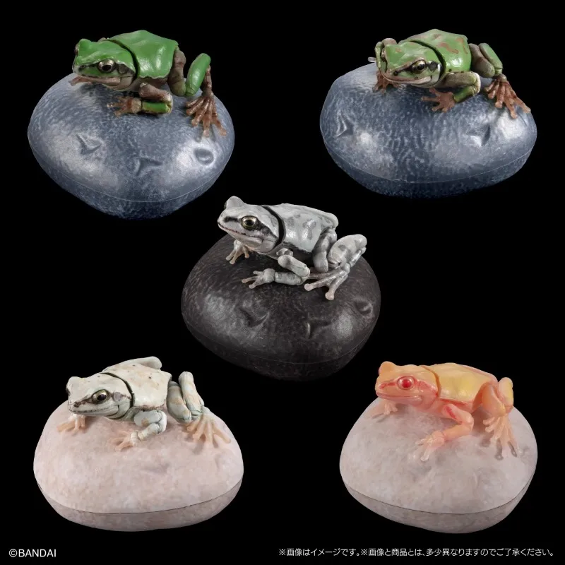 BANDAI Anime Biological Encyclopedia Frog Rhacophorus GASHAPON Christmas Gifts or Collection Genuine Action Figure Model Toys