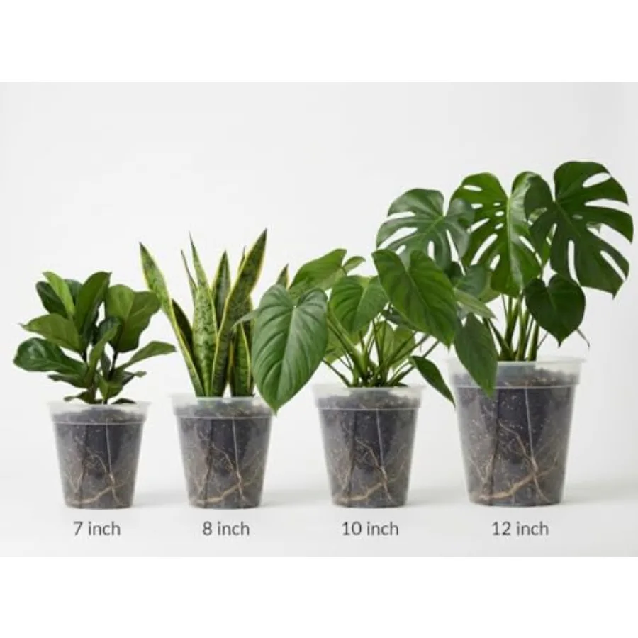 Nursery use: clear thick plastic pots, 12 pcs assorted 12/10/8/7 inch, with drainage holes, reusable, for orchid, monstera, aro