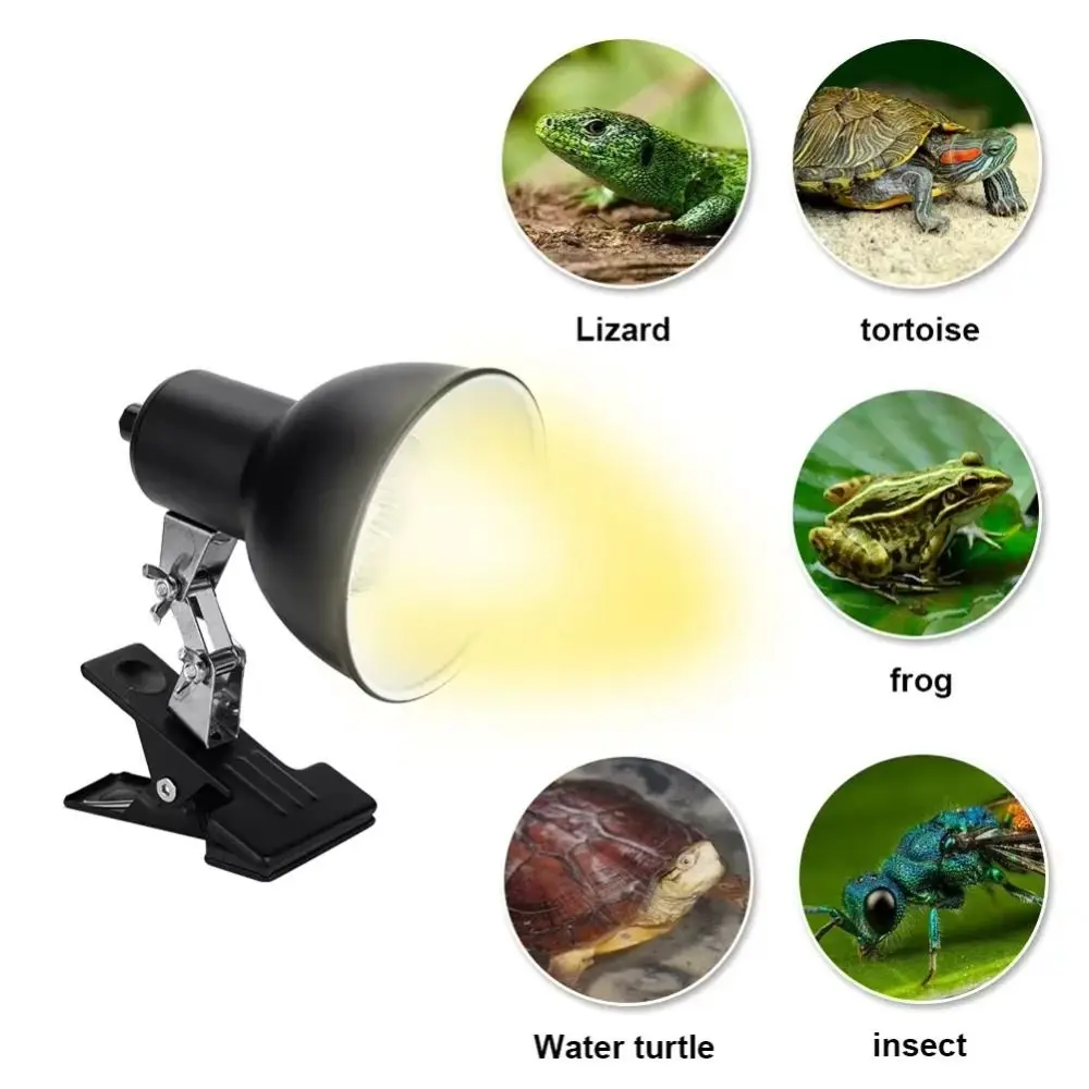 Portalámparas con Clip, lámpara para tomar el sol de tortuga, termostato, lámpara de calor para reptiles, 75W, bombilla de calor para mascotas