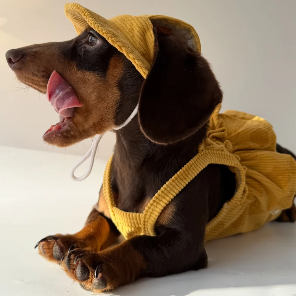 Vestido elástico transpirable de verano para perros pequeños salchicha - imagen 3