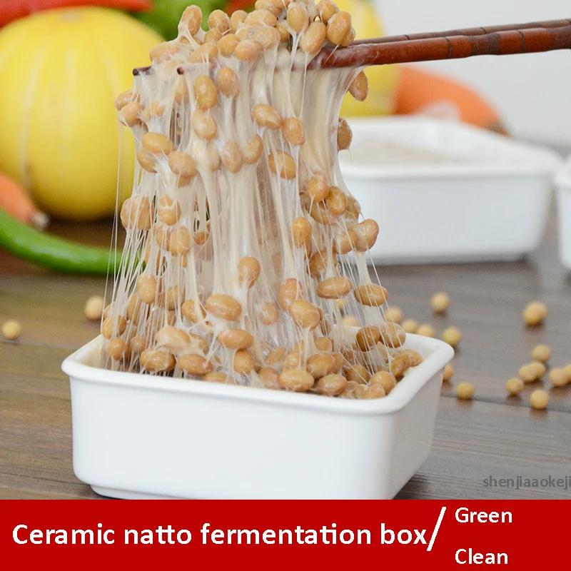 Natto machine automatic micro-computer control steel natto fermentation box high quality healthy large capacity natto machine