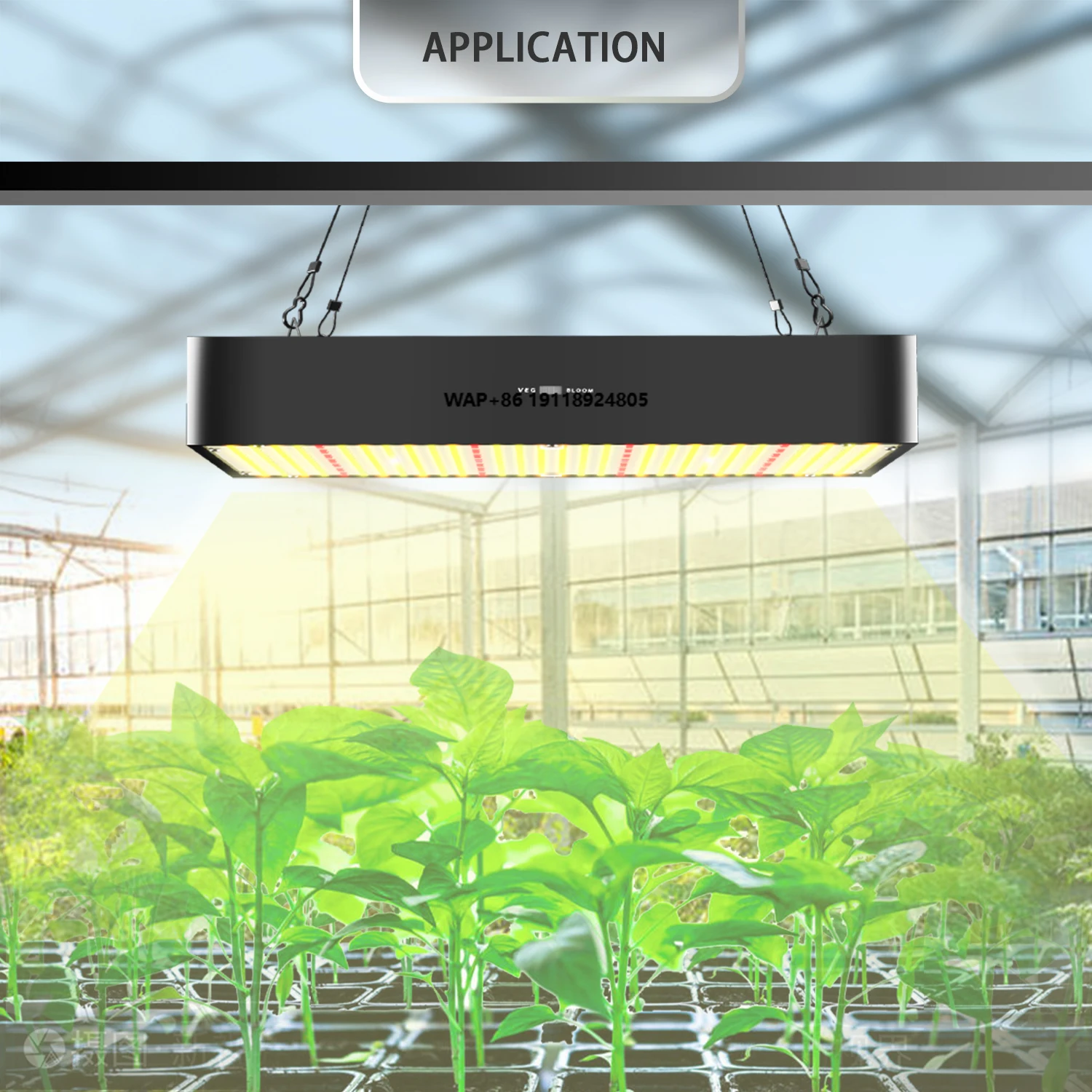 

150W Full Spectrum LED Grow Lights IP54 Rating for LED Chips for Indoor Plants Vegetable Melon Fruit Bloom (5-Year Warranty)