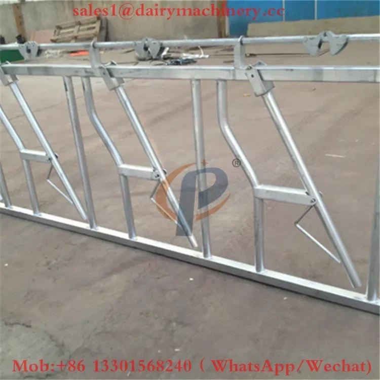 Thickened hot-dip galvanized cattle headlock (single-opening movable position / double-opening) cattle farm positioning fence