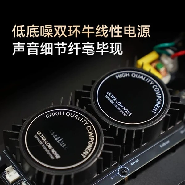 Digital Audio DAC Fever DSD Network Streaming
