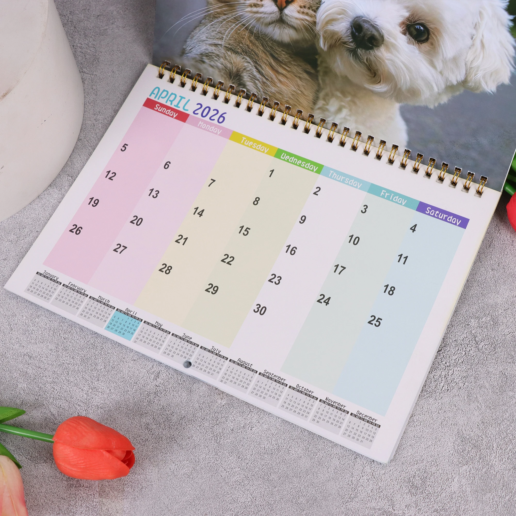 Calendario da parete 2026 Cat and Friends - Fun Cat Selfie Series, 12 mesi di foto, regalo perfetto per gli amanti dei gatti, lingua inglese