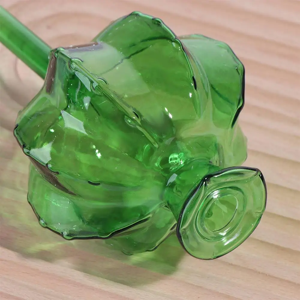 الصبار الصبار الذاتي سقي زارع التلقائي لطيف التلقائي سقي النباتات لمبات الزجاج وعاء مياه النبات مصابيح زجاجية داخلي #4