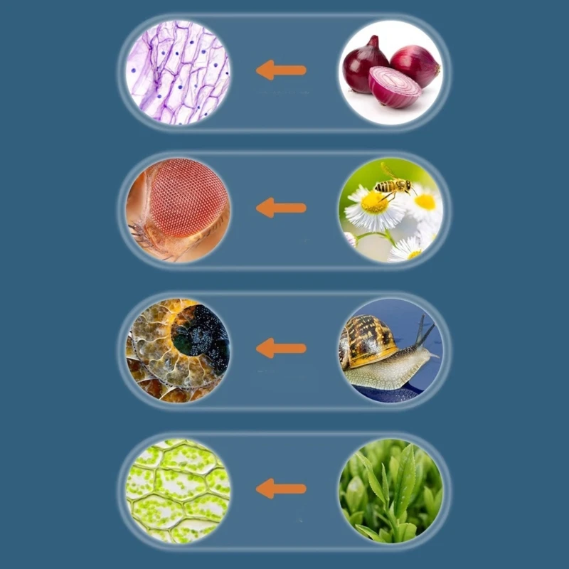 Interactieve kinderwetenschapsset Hoge resolutie microscoop voor biologieobservatie en natuurstudie A2UB