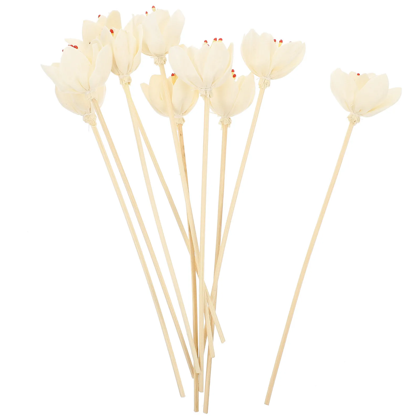10pcs Flower Diffuser Sticks Natural Reed Diffuser For Home Bedroom Kitchen Scented Sticks Aroma Accessories Essential Oil