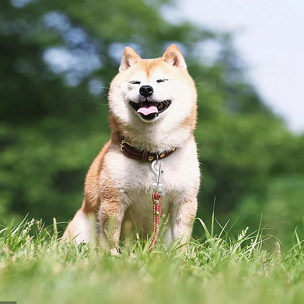 20Pc Snap Hooks for Dog Leash Collar Linking, Heavy Duty Swivel Clasp Eye Bolt Buckle Trigger Clip for Spring Pet Buckle HY