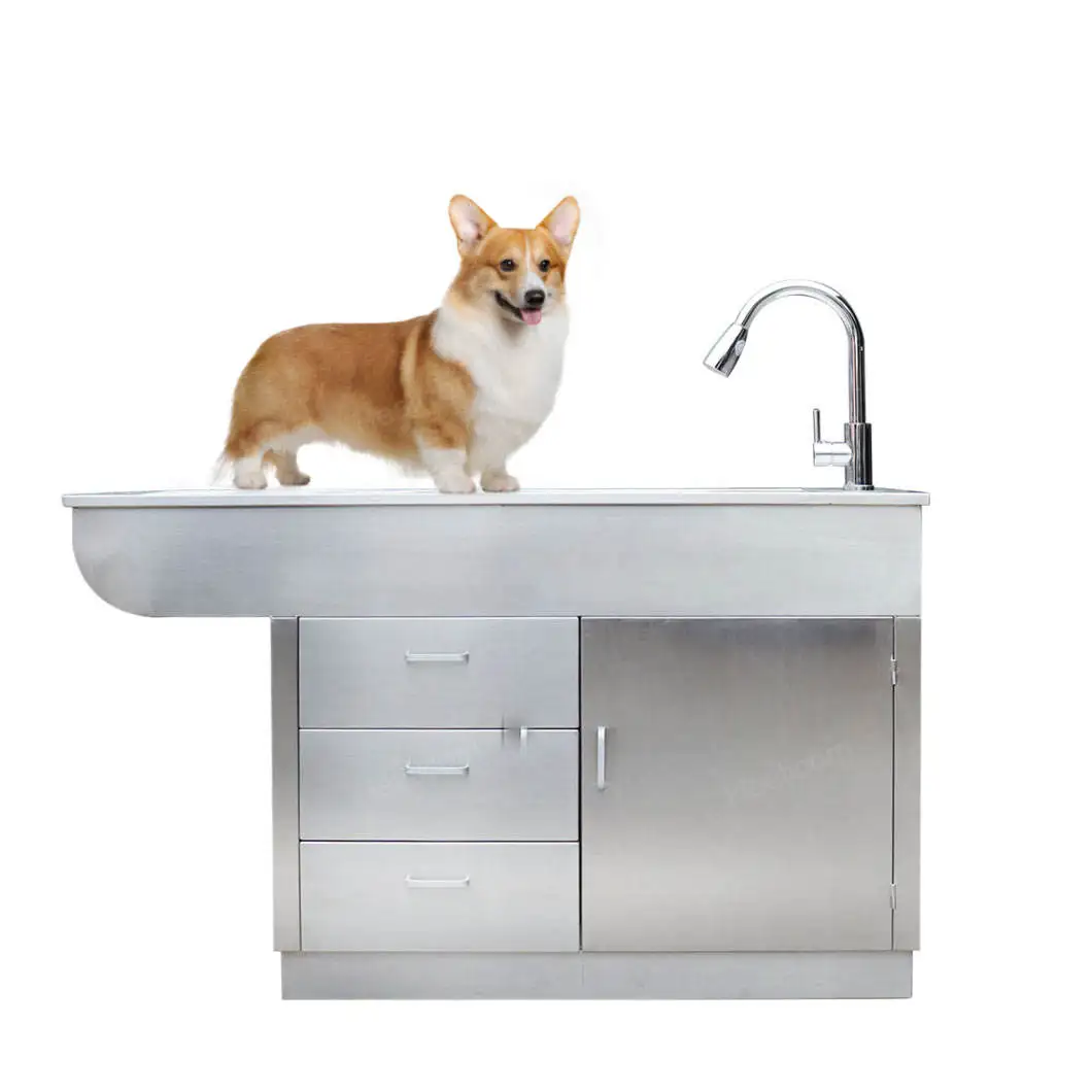 

Hot Sale Veterinary Stainless Steel Animals Dog Cat Treatment Examination Table