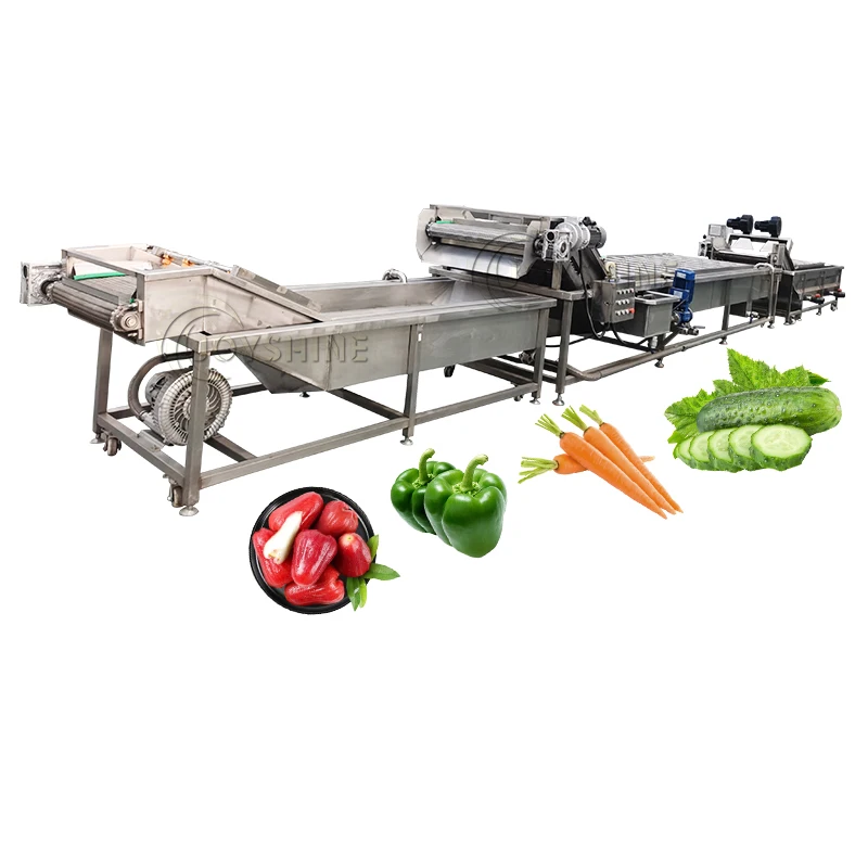 Small Scale Automatic Continuous Fruit Vegetable Bubble Washing Machine and Sorting Machine Vegetable Washing Machine
