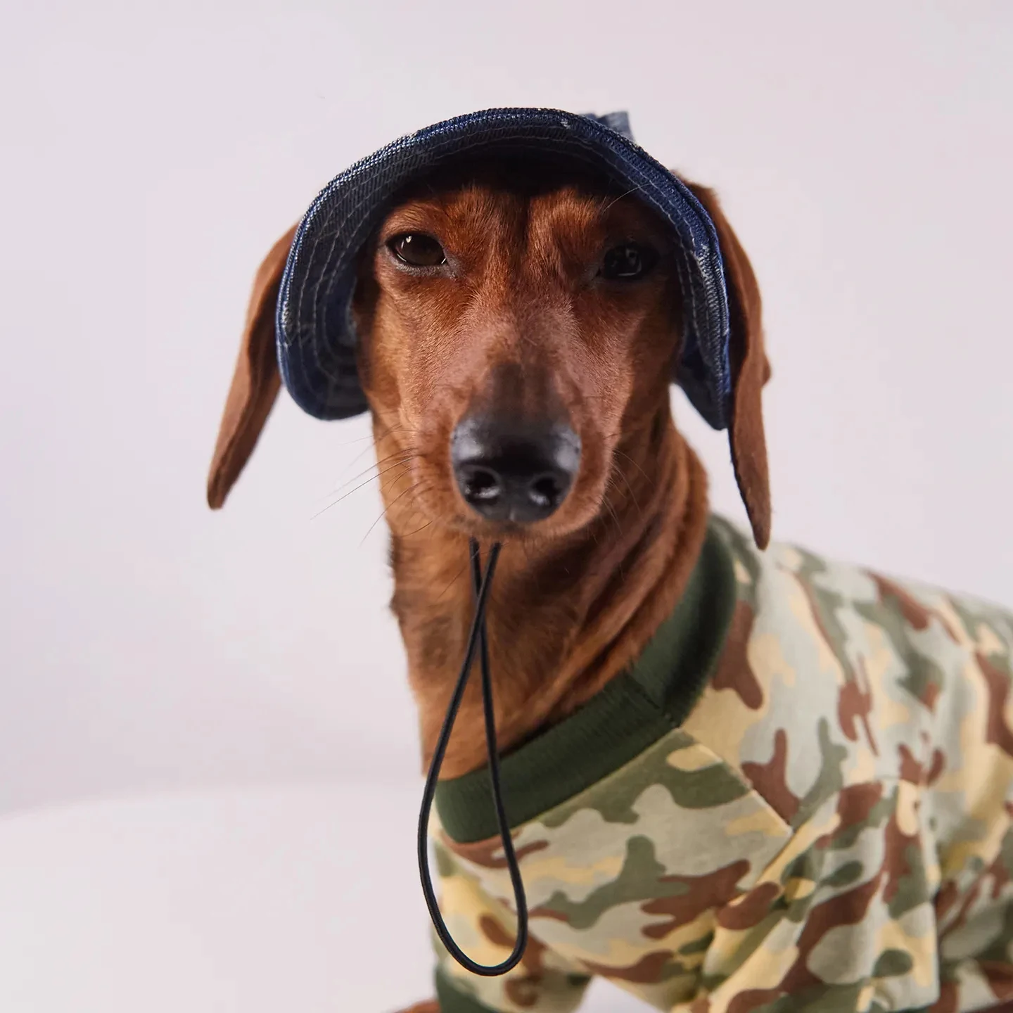 Gorra solar transpirable para perros pequeños y medianos - imagen 4