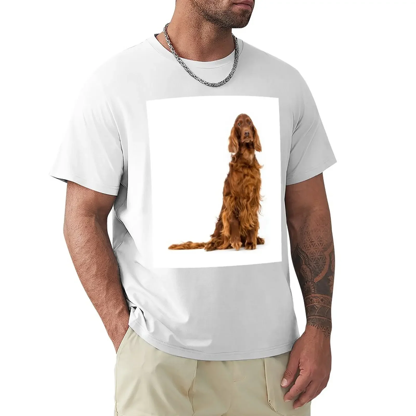 Portrait of Irish Setter sitting T-Shirt sweat oversized mens t shirts pack