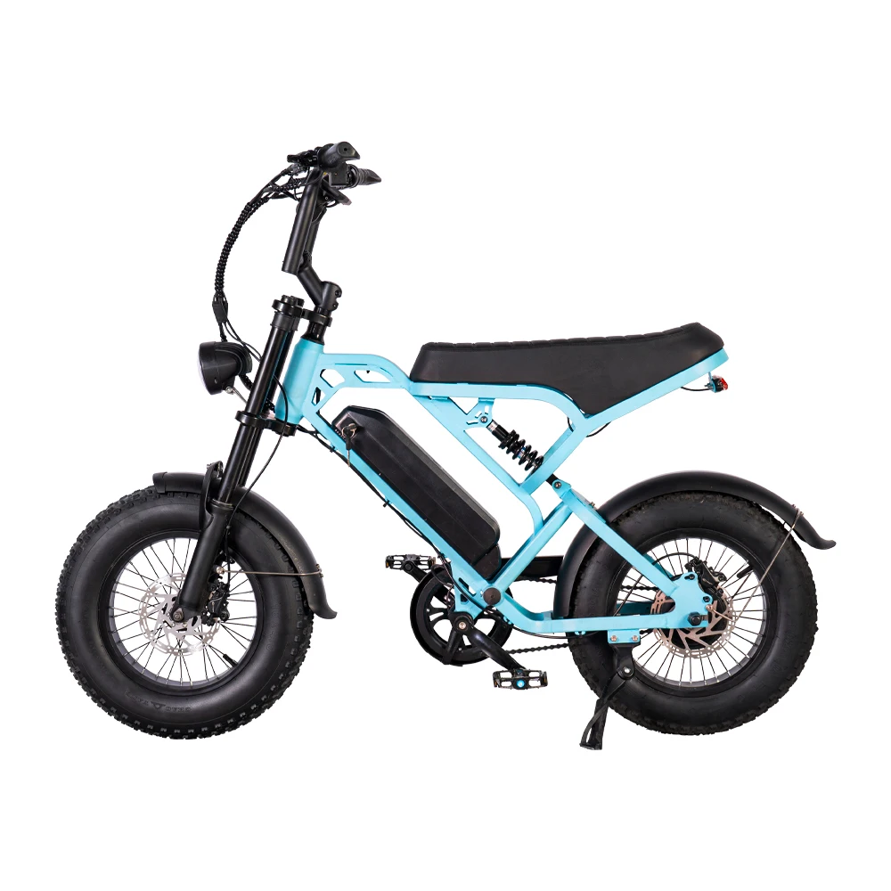 V20  Mini Electric Bike 250W 36V 10.4AH Electric Bicycle EU Standard Fat Bike For Kid Gifts