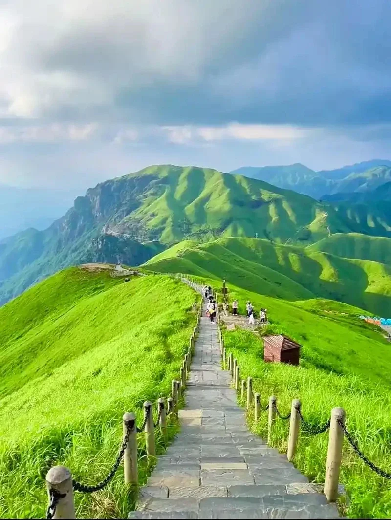 

2 шт. удлинители подрулевых лепестков переключения передач из углеродного волокна и АБС-пластика для Hyundai Genesis Coupe 2009-2011