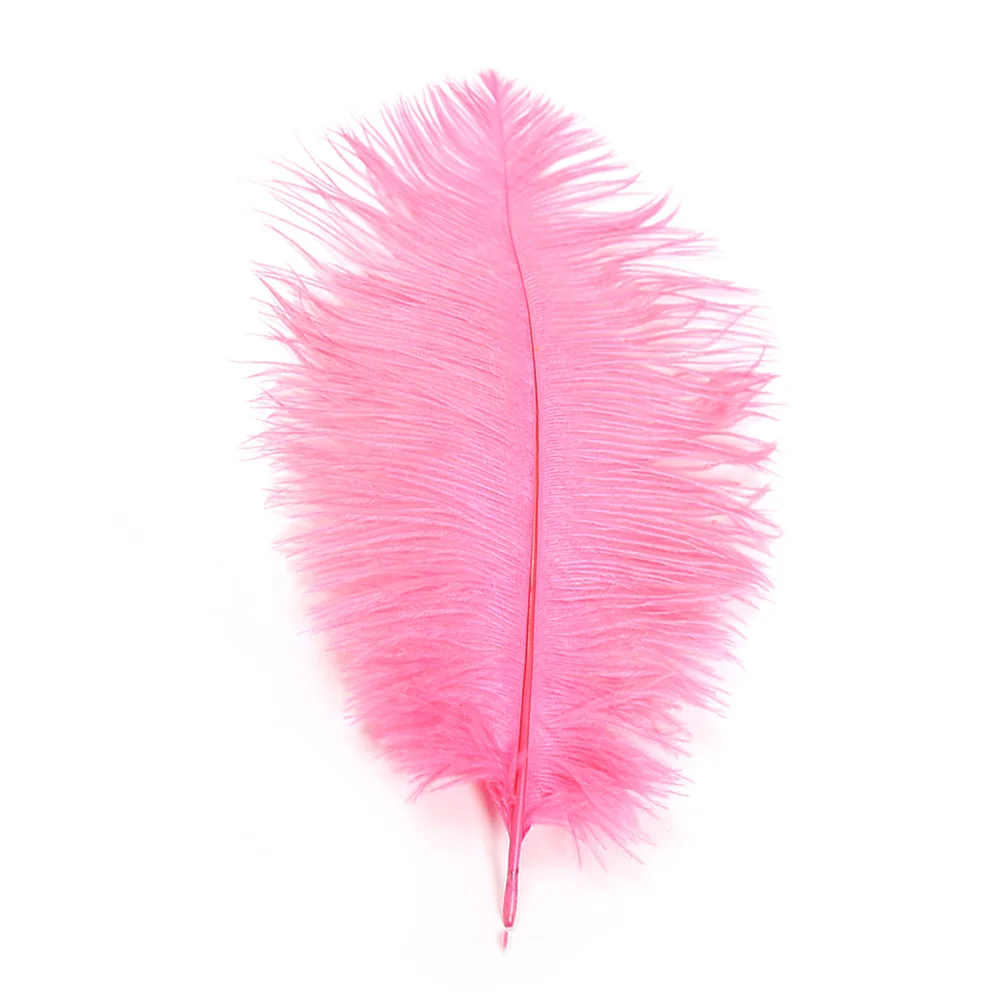 

10Pcs Real Ostrich Fumigated Natural Beautiful Colors Weddings Parties Home Decor DIY Ostrich