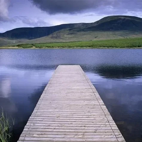 

Автомобиль под крышкой, базовая защита двигателя, брызговик для Nissan Navara 2013-2023 20222 2021, аксессуары, черный Guardabarro