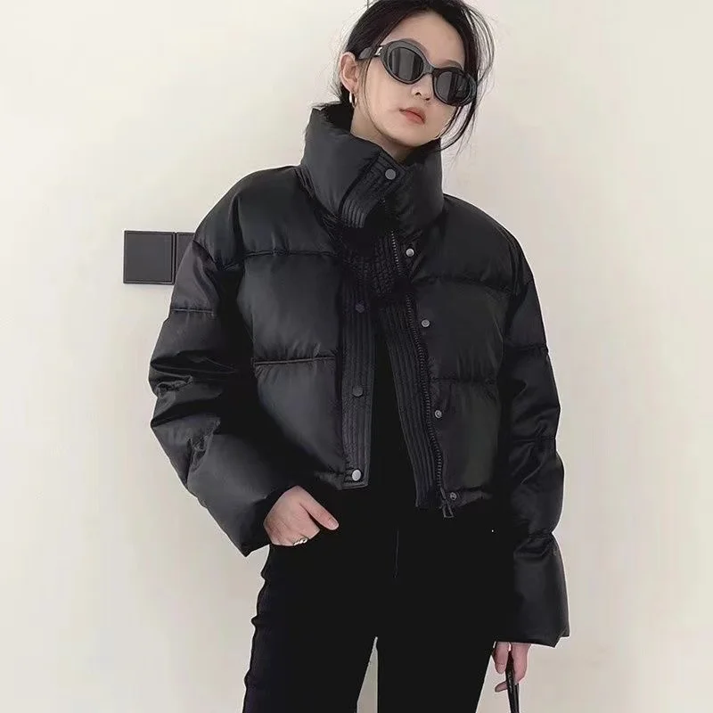 Women Autumn Winter 2024 New Short Parkas Jackets Casual Stand collar Zipper Outwear Coats Female Jackets Puffer Parkas Coats