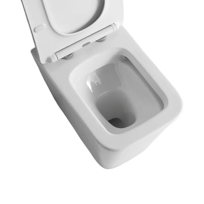 High Quality Bathroom Concealed Tank Ceramic European Floor Mounted Back To Wall Toilet