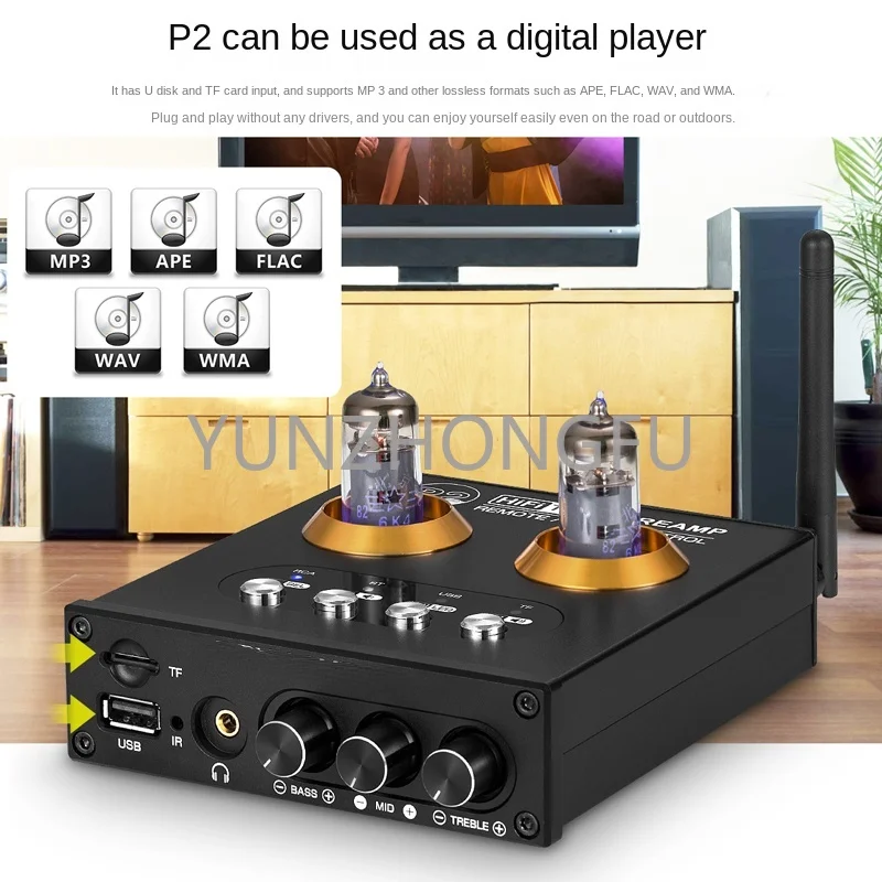 Mini Bluetooth 5.0 Gallbladder Front USB Lossless Player Stereo Preamplifier with Ear Amplifiers and TF Card Pluggable