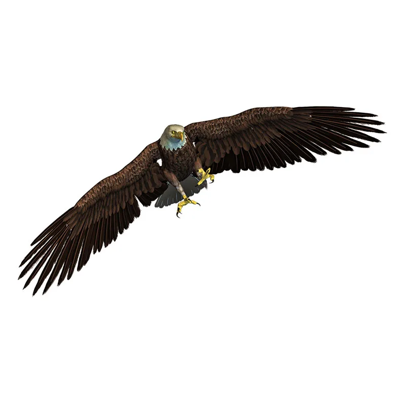 Three Ratels QC499 eagles cleaved the sky stickers for boys home decoration accessories for living room